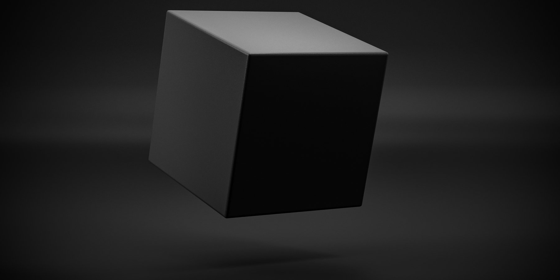 Interpretabilidad, explicabilidad y cajas negras